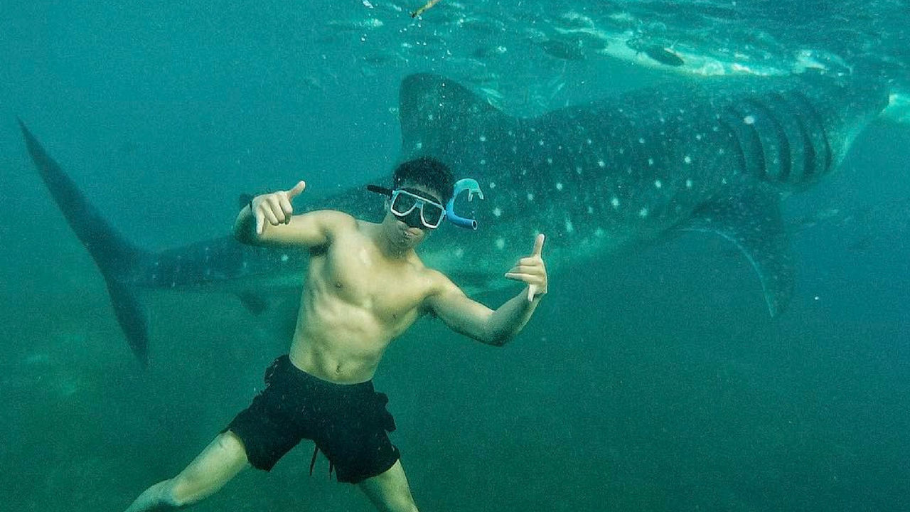 Mike Vestil swimming with the whale sharks in Oslob Cebu Philippines