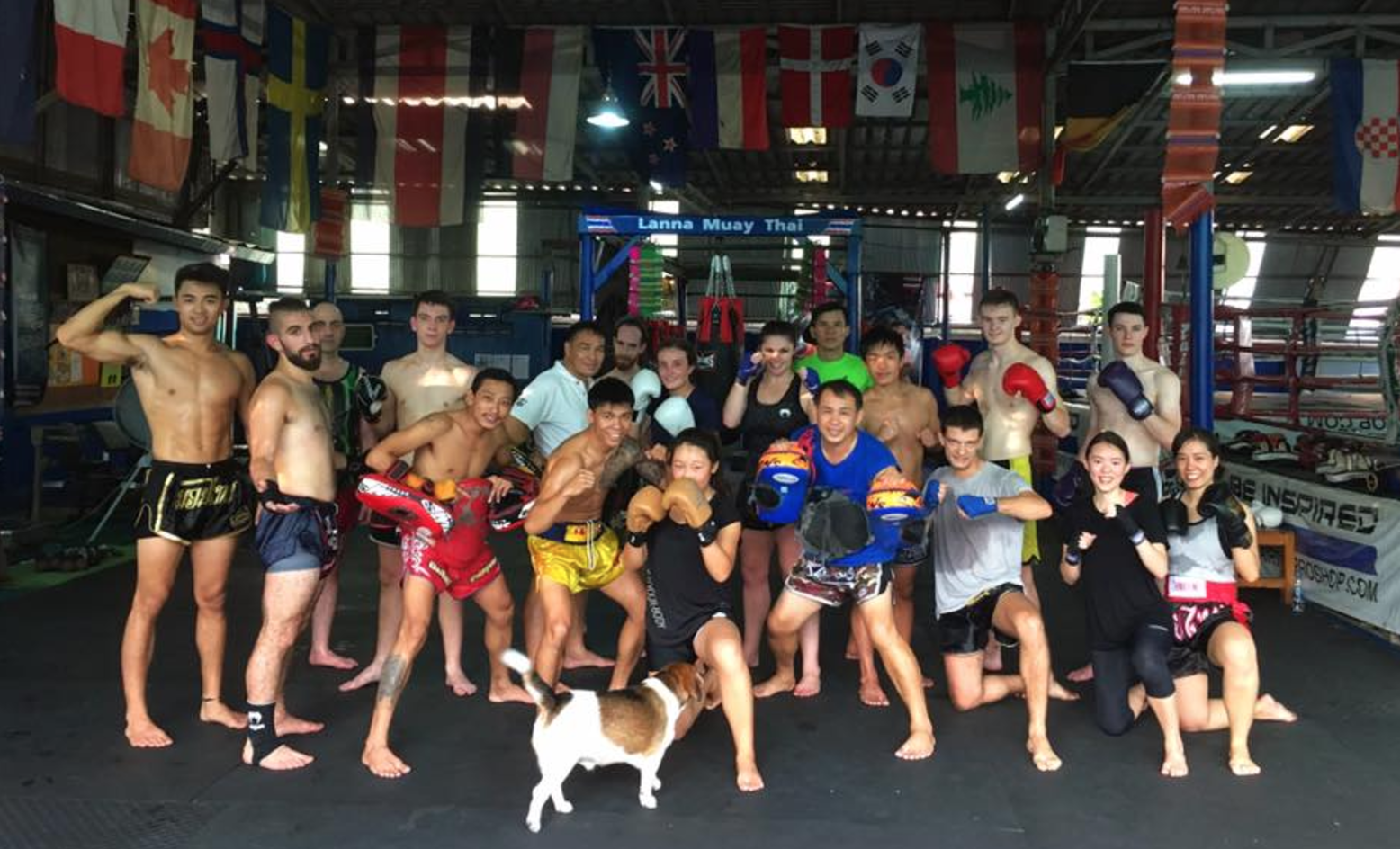 mike vestil muay thai